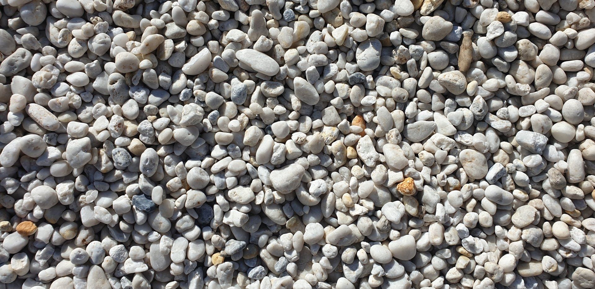 Small, light-colored gravel stones filling the frame, creating a textured surface.