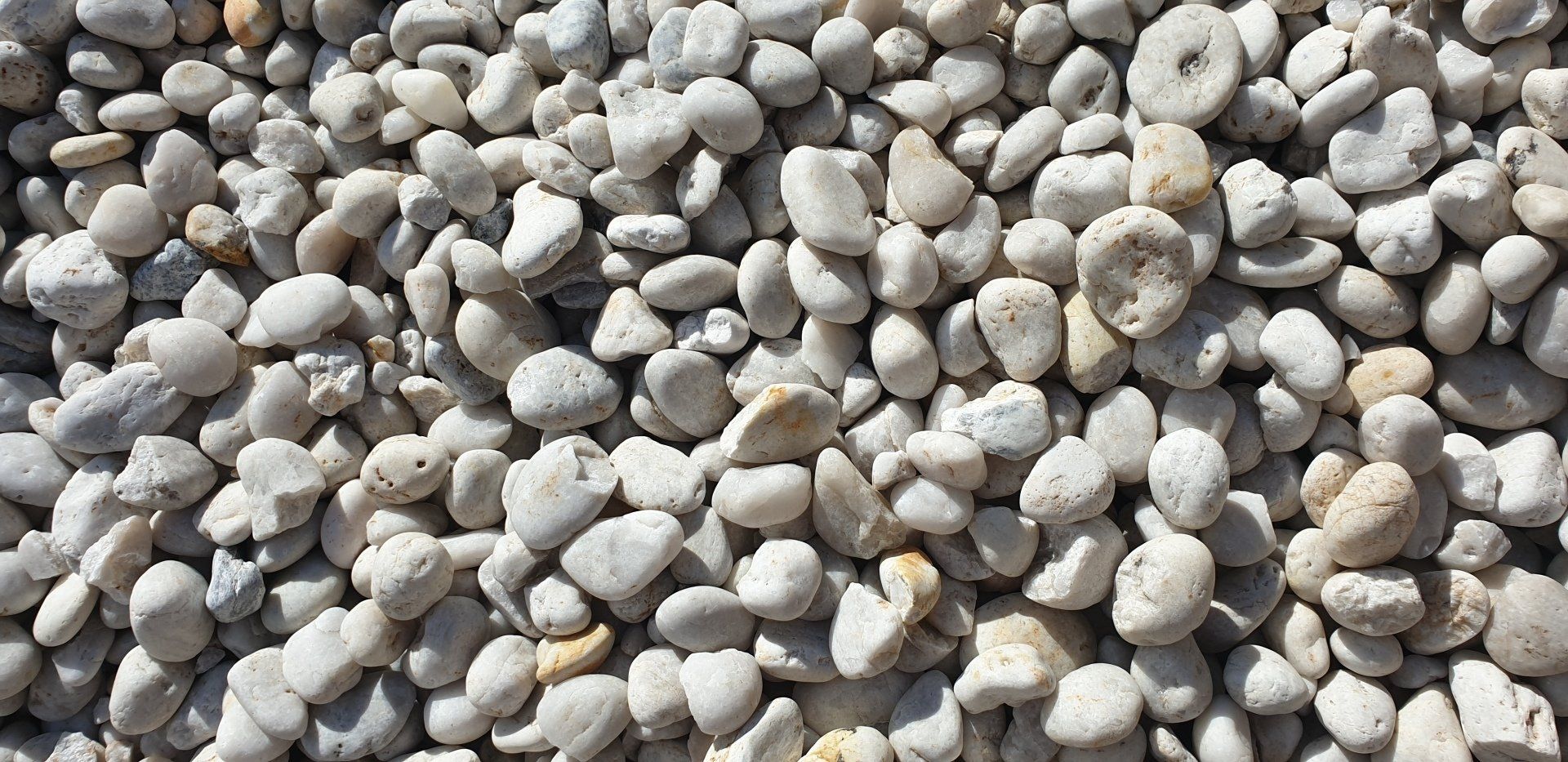 Close-up of a pile of small, smooth, light-colored pebbles, varying in shape and size.