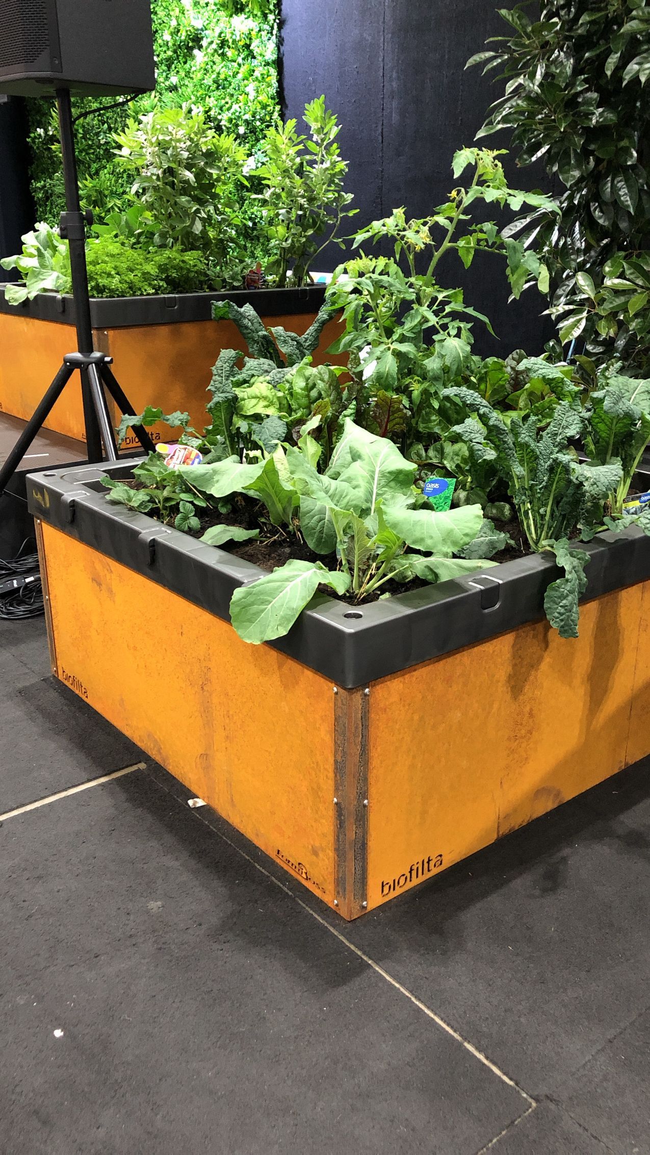 Yellow planter box with lush green plants. Black speaker stand in background, vertical garden on wall.