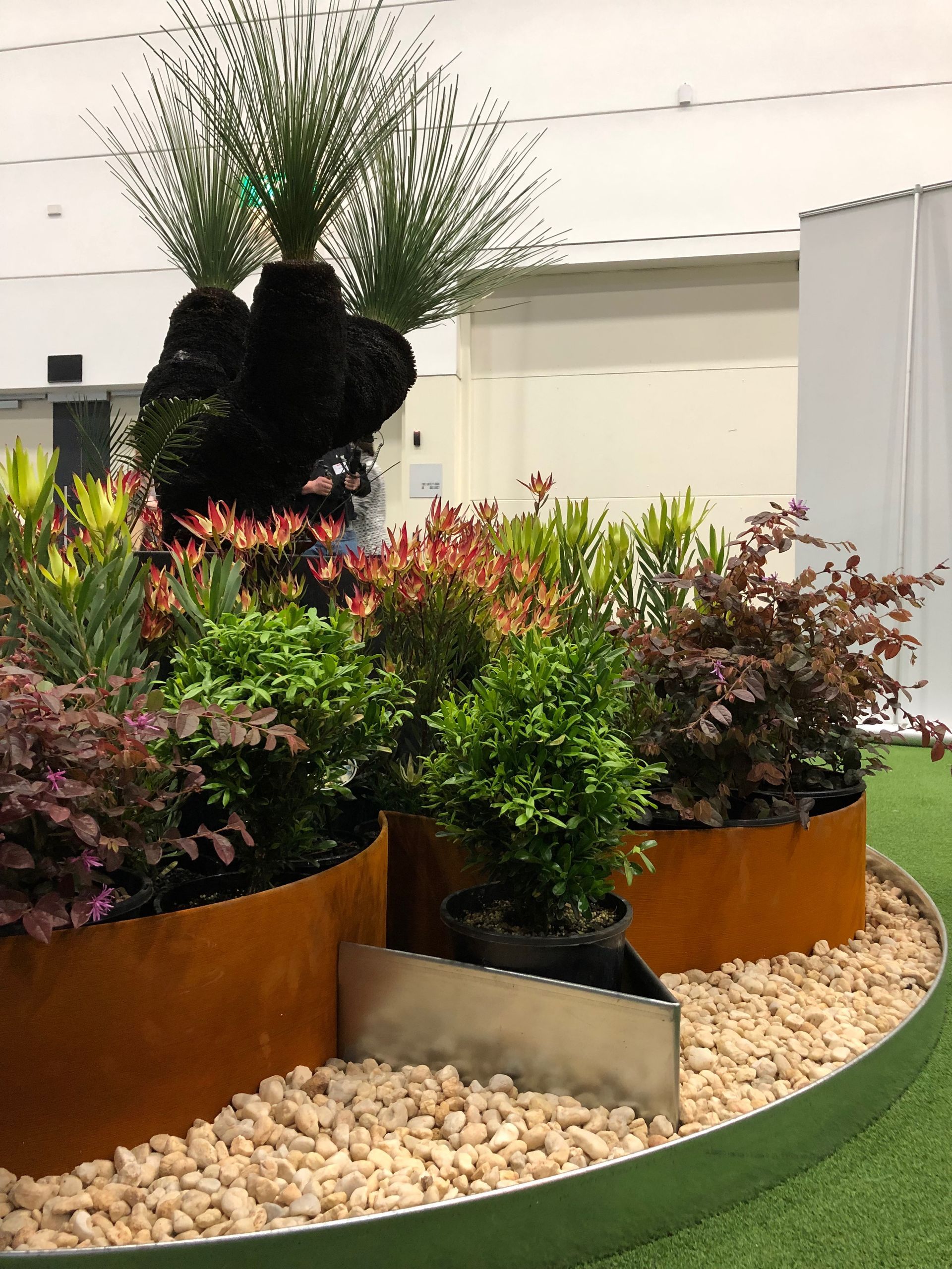 Display of varied plants in rust-colored metal containers, set on gravel, with a large central, dark, tree-like structure.