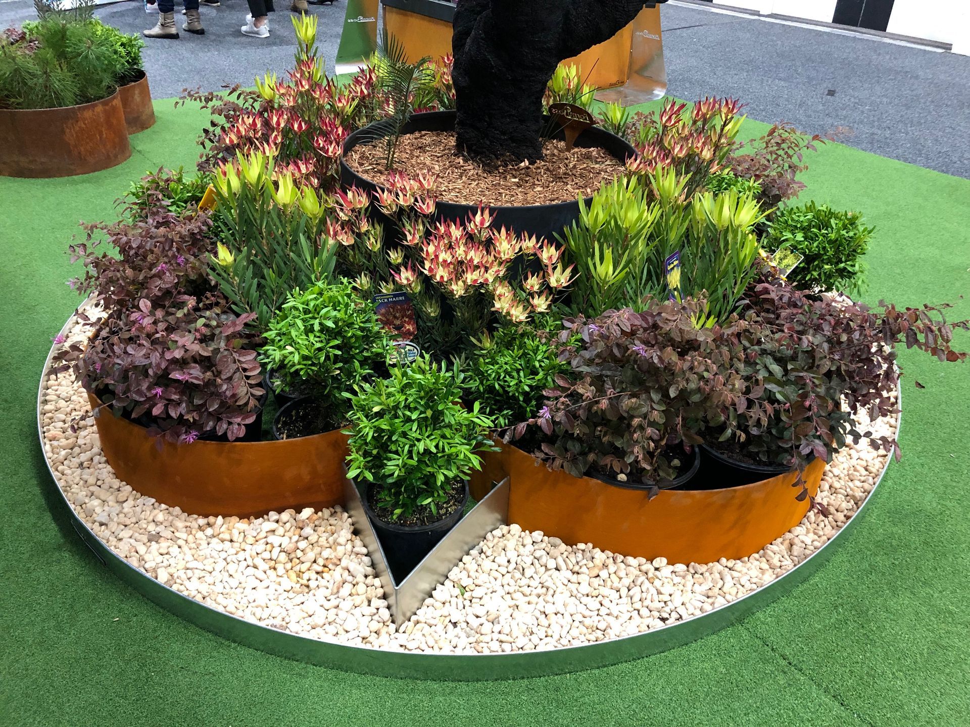 A circular garden bed with various plants and rusty metal borders on a bed of pebbles.
