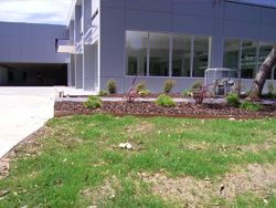 Exterior of a modern building with a lawn and landscaped flower bed.