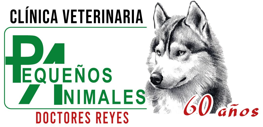 Clínica veterinaria pequeños animales