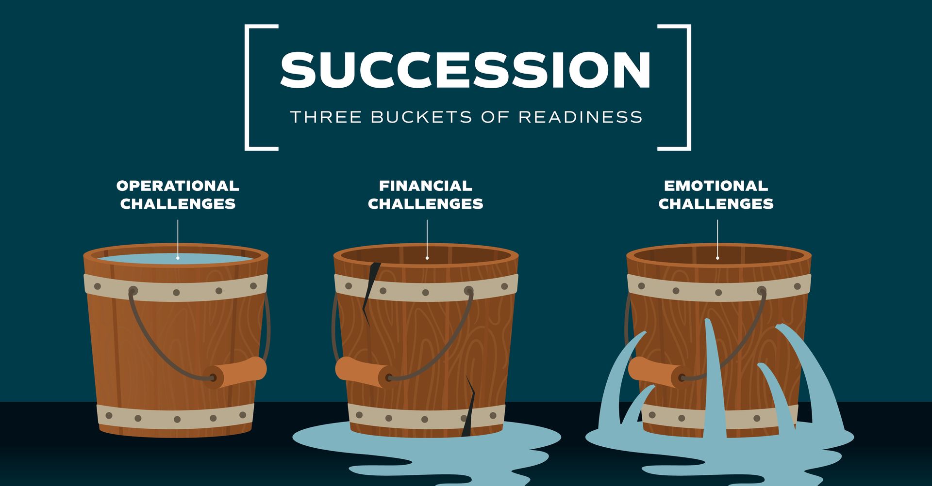 C12 Succession
