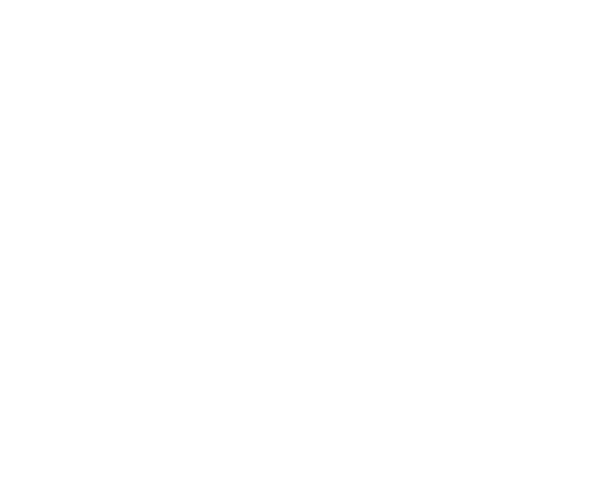 Blank white screen with a thin black border at the bottom.