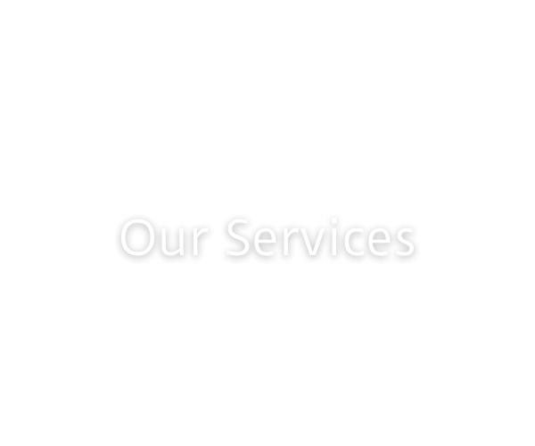 White screen with centered light gray text reading “Our Services”