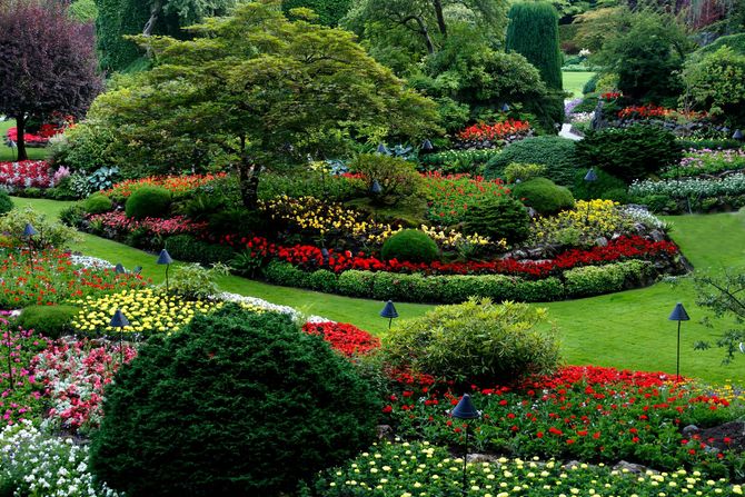 Lush flower garden with winding paths, colorful blooms, and a large tree