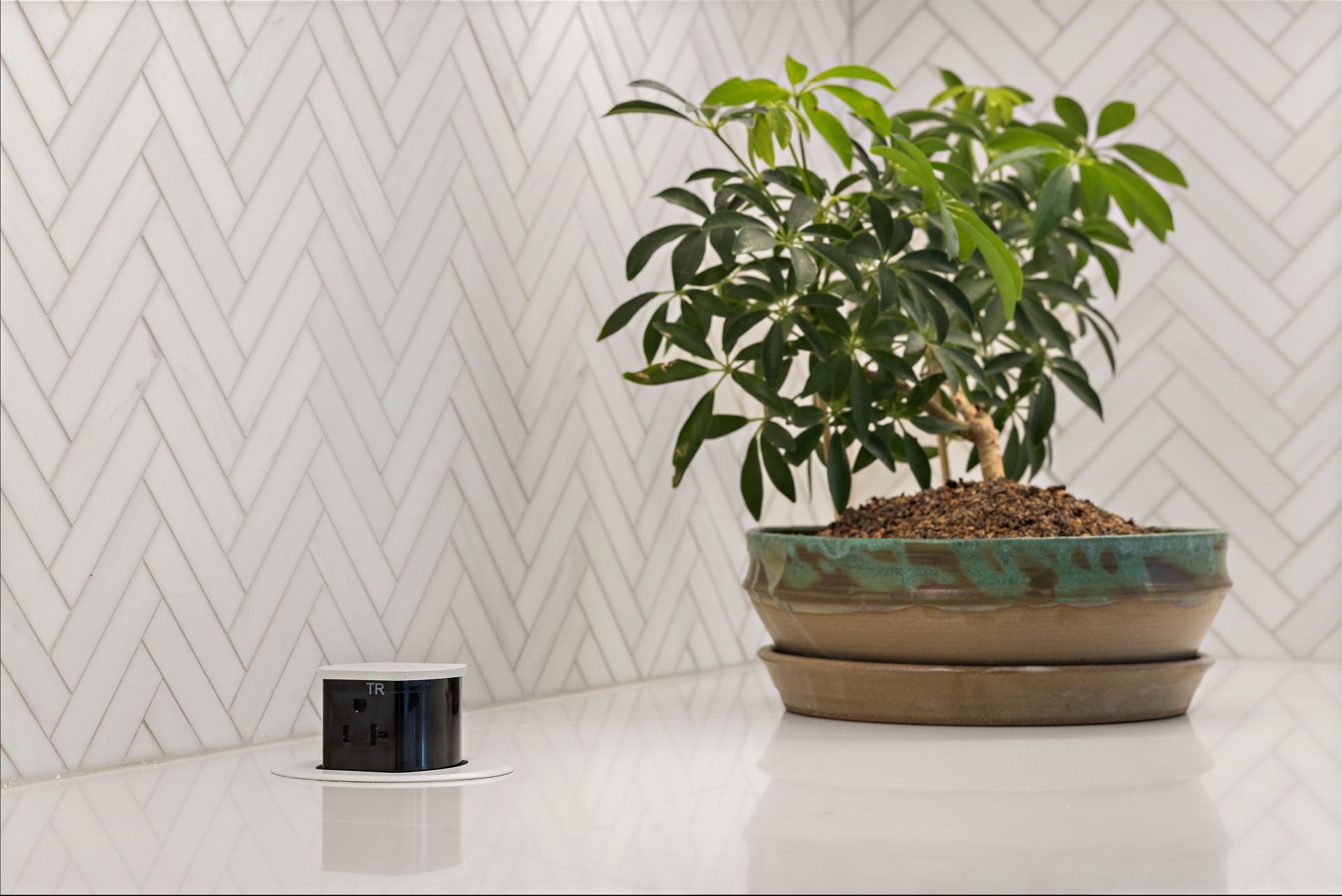 Close-up of bonsai plant and pop-up outlet on white kitchen countertop with herringbone backsplash