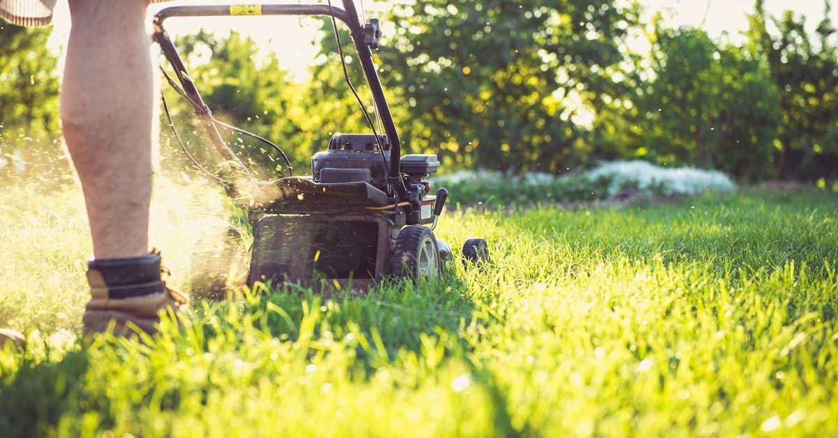 Lawn care services