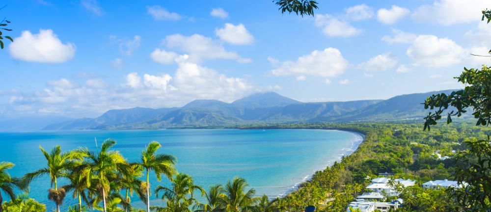 Panoramic View Of A Beach With Palm Trees, Blue Ocean, Green Trees — Ace Fridge Door Seals In Port Douglas, QLD