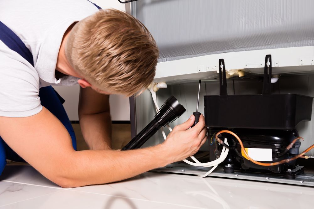 Person Repairing Refrigerator — Ace Fridge Door Seals In Cairns, QLD