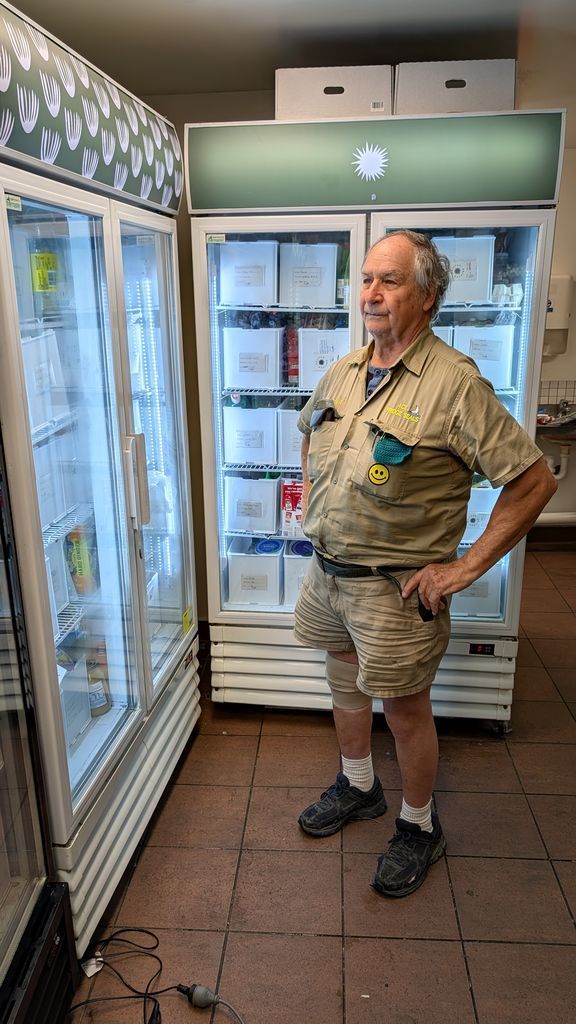 Man Standing in a Grocery Store Dairy Aisle Beside Refrigerated Cases — Ace Fridge Door Seals In Cairns, QLD