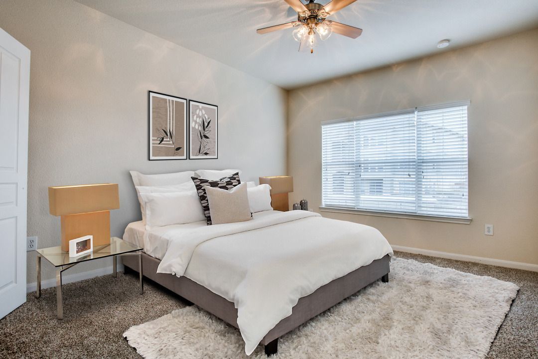 Bright bedroom with a queen bed, two matching bedside lamps, window blinds, and a white shag rug.