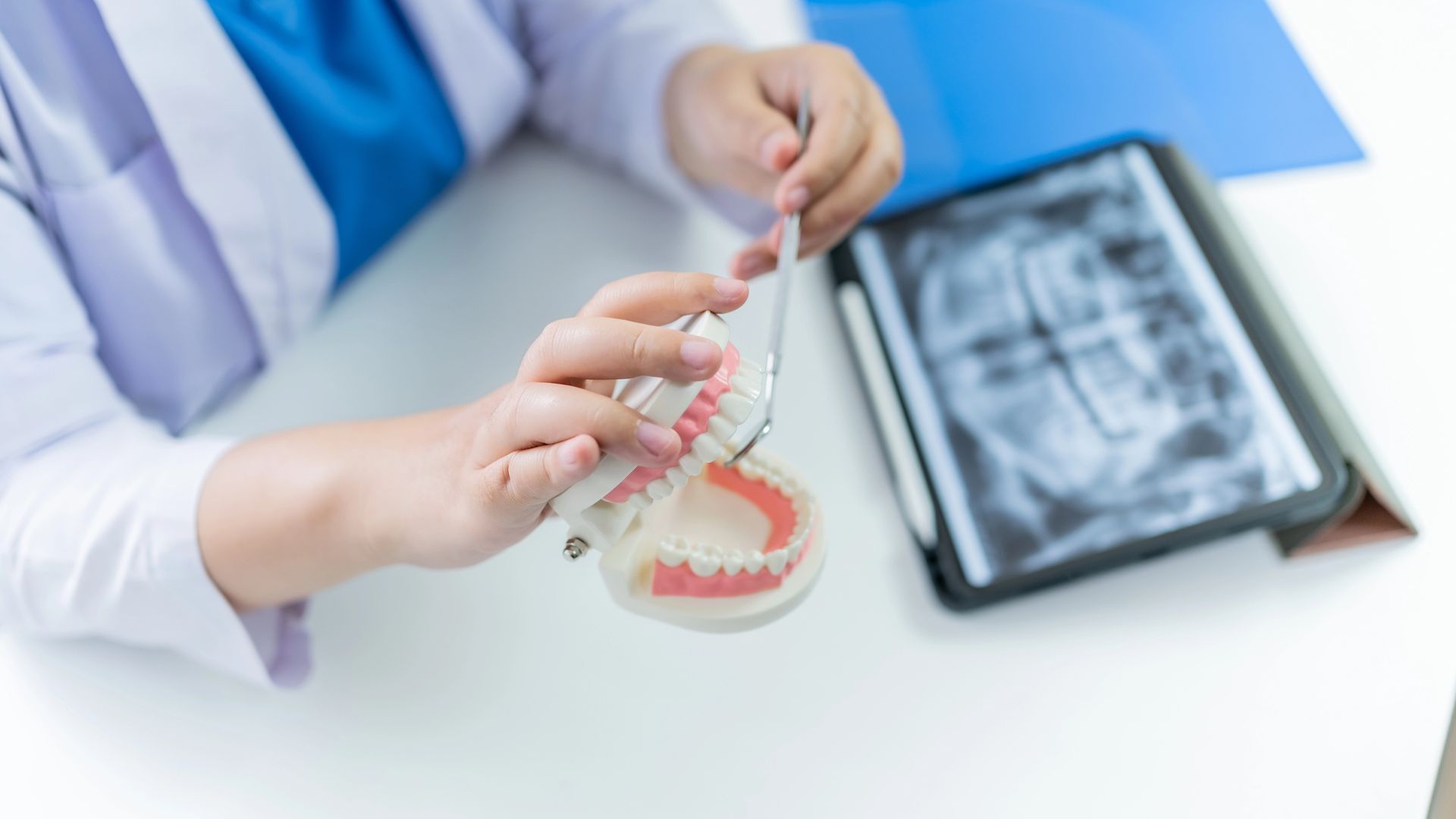 Un dentista, seduto a una scrivania con un display digitale per radiografie, tiene in mano un modellino dentale in plastica e uno specchio.