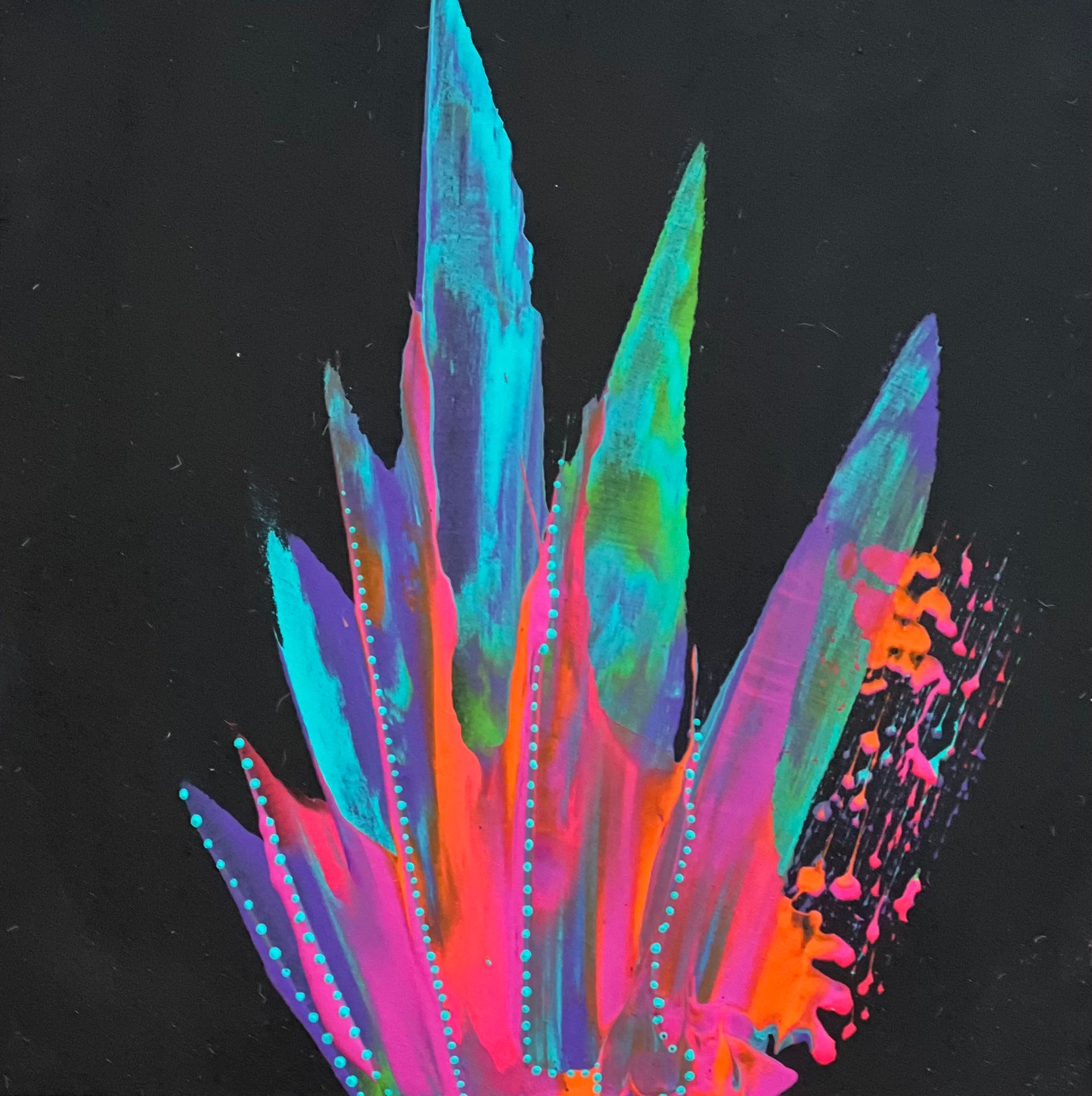 Black crop top with colorful, brushstroke design on a mannequin.