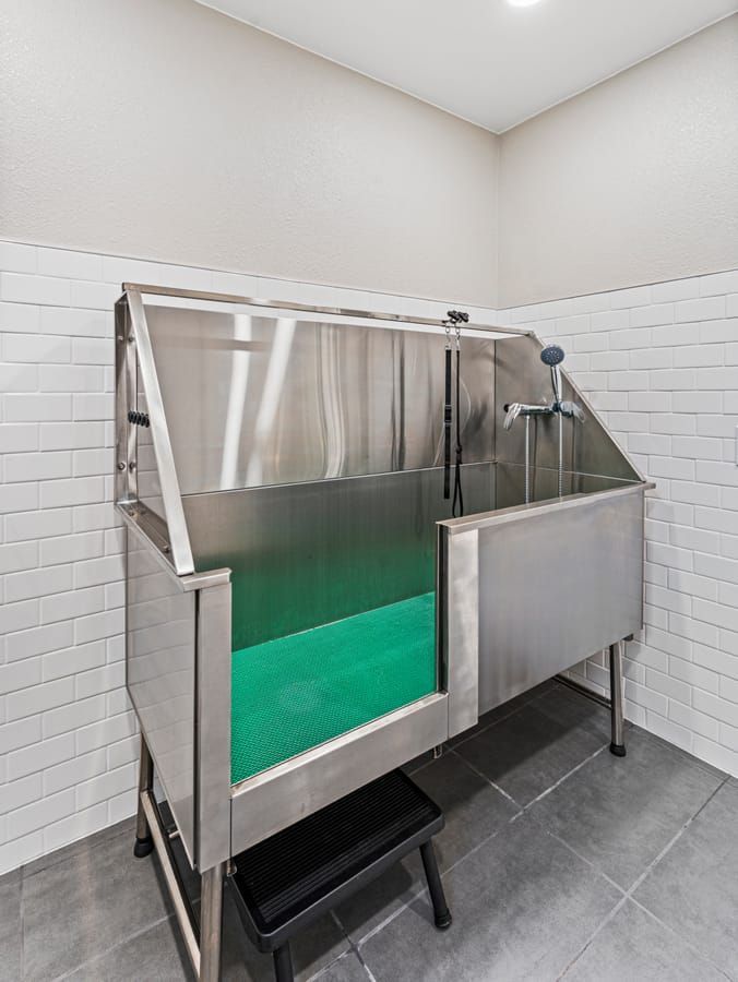 Stainless steel pet washing station with green floor and tiled walls in a room