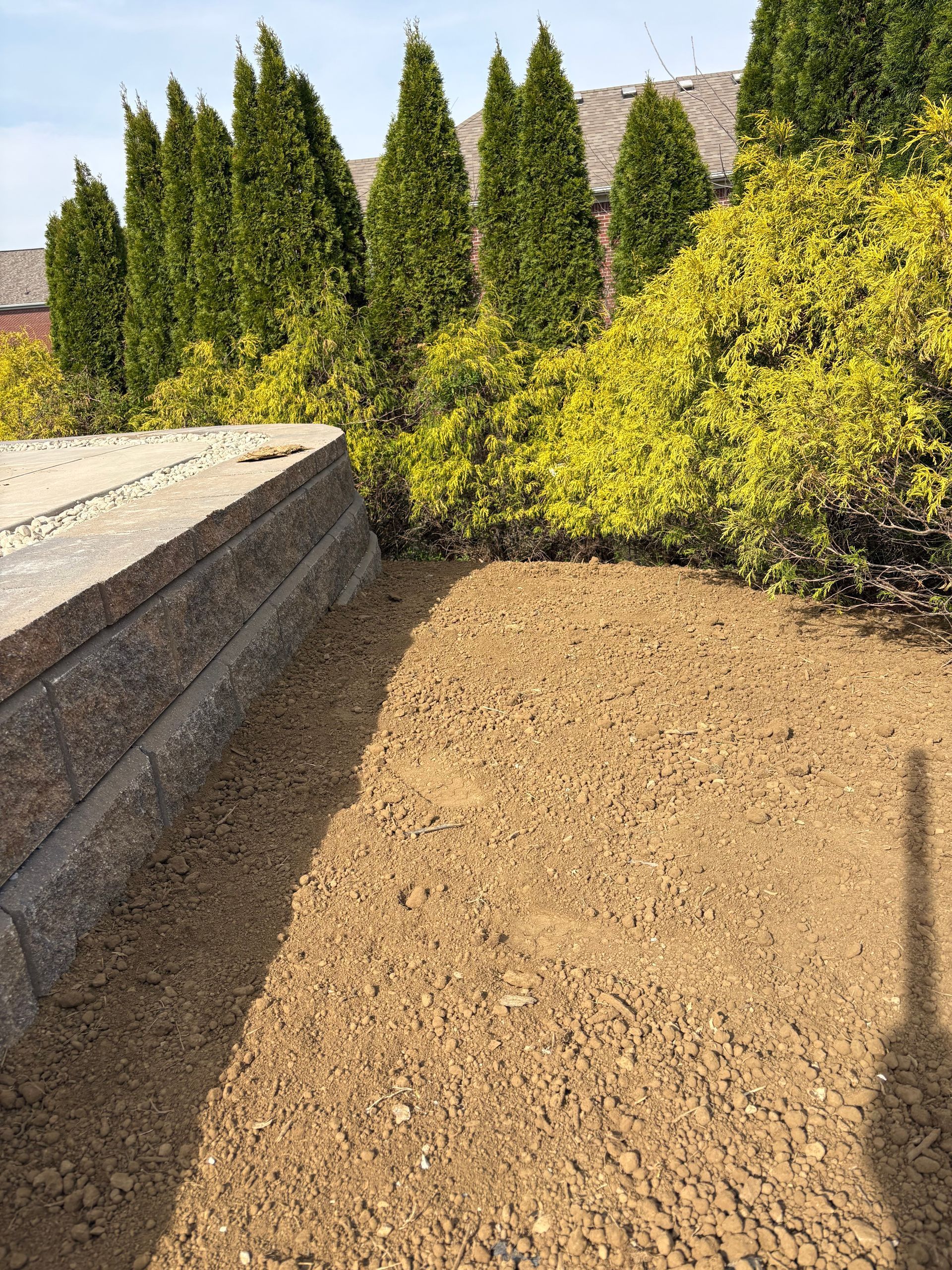 Backyard with gravel path, stone wall, and tall green shrubs along a fence
