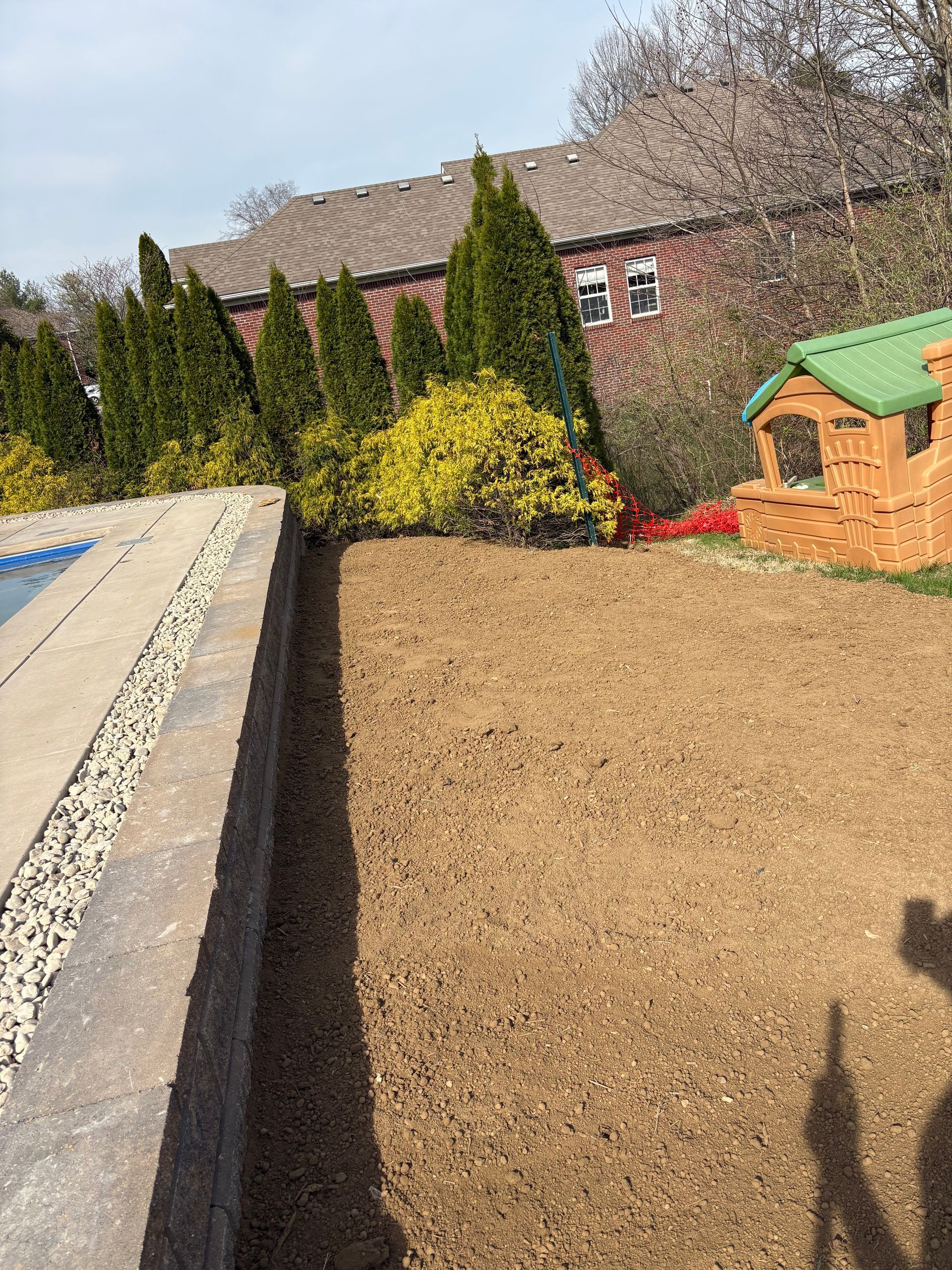 Gravel backyard with tall evergreens, a brick house, and a small wooden garden shed in sunlight