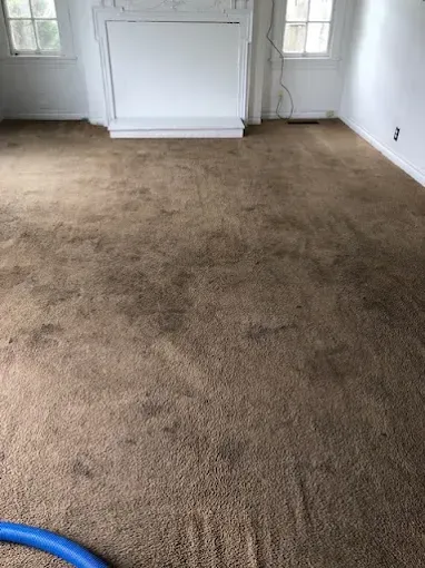 Brown, heavily stained carpet in a room with a white fireplace and walls. A blue hose lies on the floor.