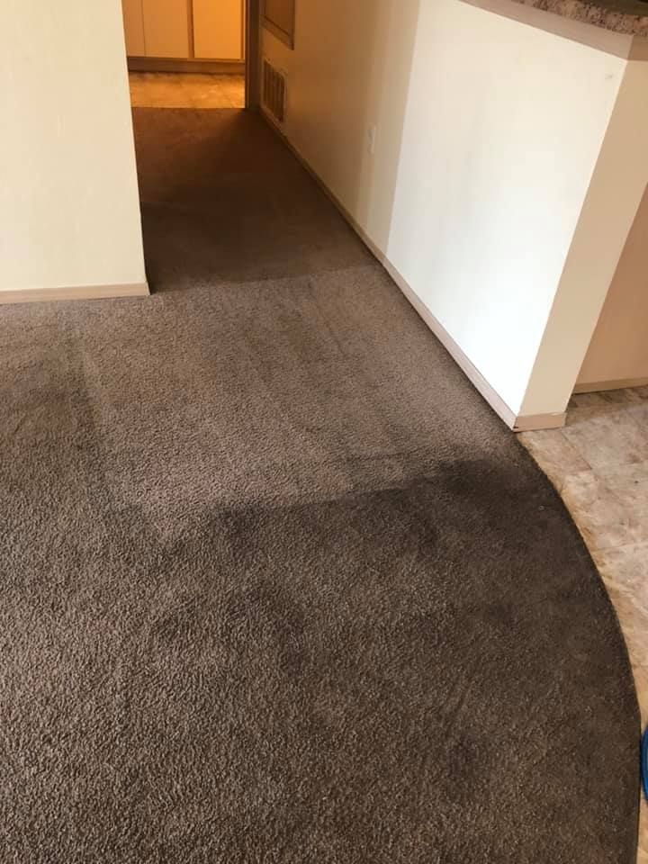 Brown carpet in a room with beige walls and a partial wall.