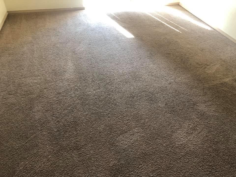Brown carpet in a room with sunlight streaming across it.