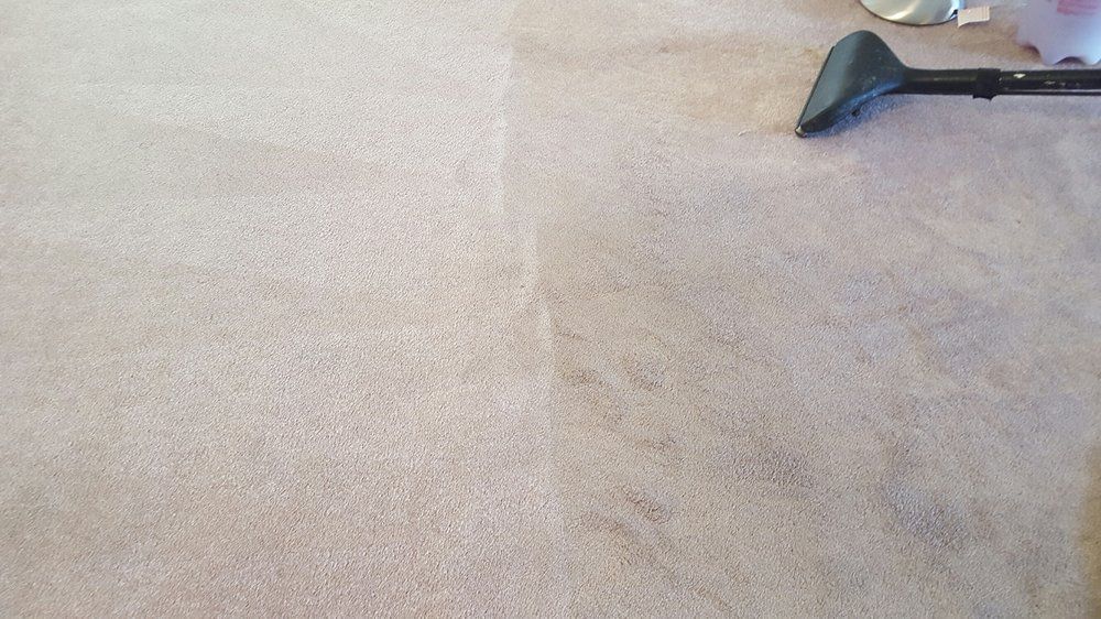 Carpet being cleaned with a cleaning machine; one side cleaned, showing a visible color difference.