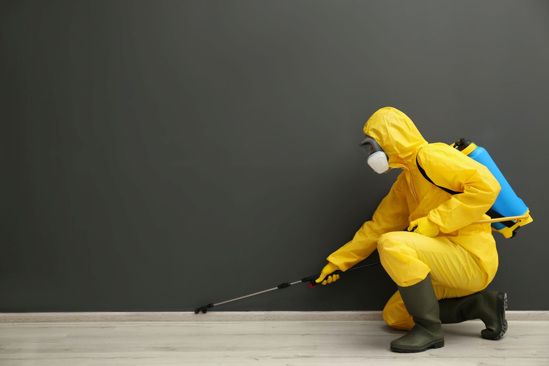 Person in Yellow Hazmat Suit Spraying Insecticide on a Wall — Hancock Pest Control in Lake Macquarie, NSW