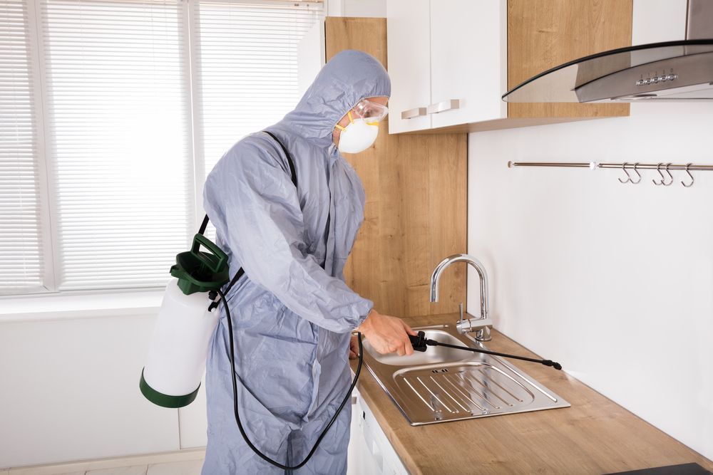 Pest Control Worker in Protective Suit Spraying a Kitchen Sink — Hancock Pest Control in Tuggerah, NSW