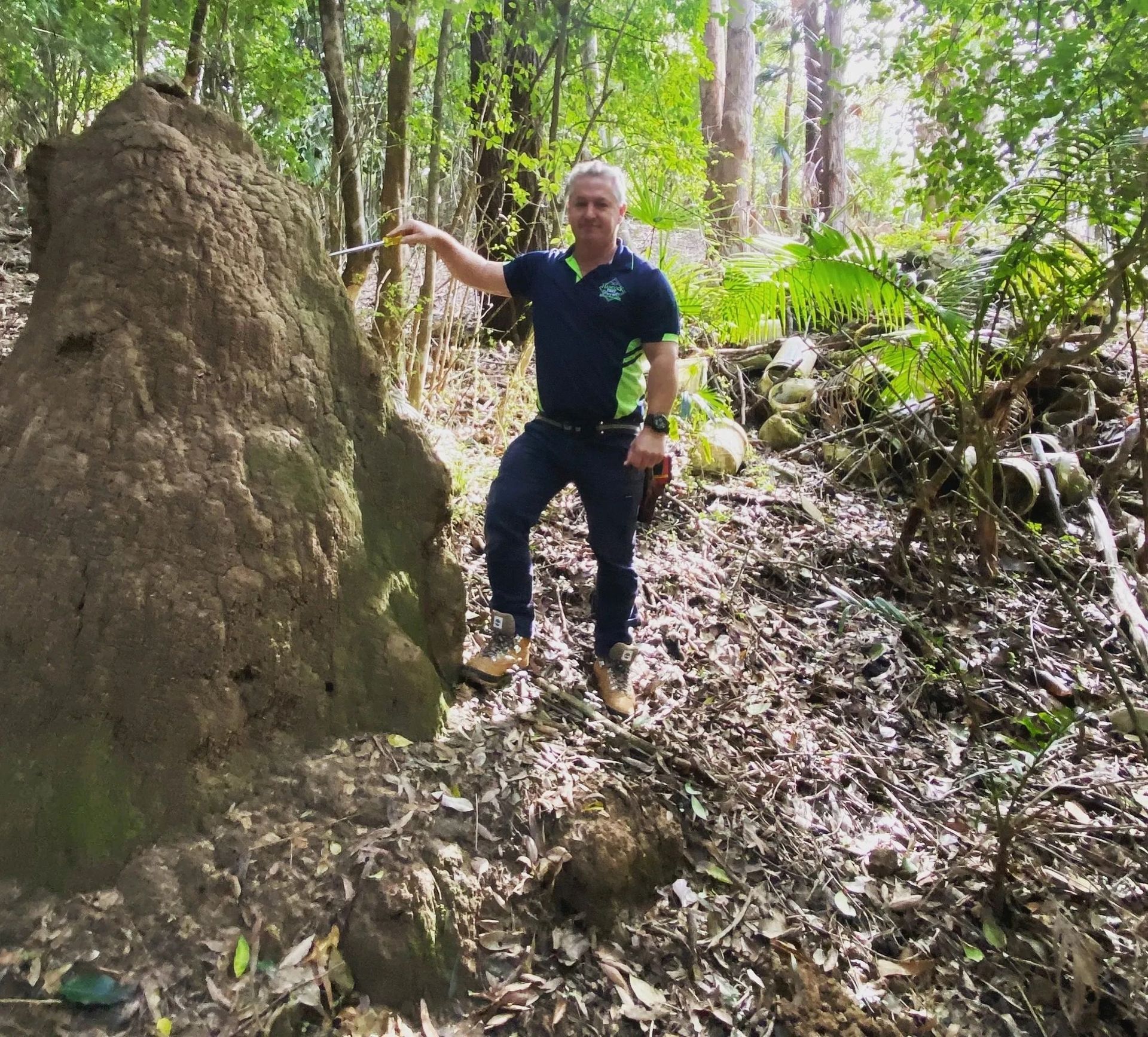 Man Standing Next to a Large Termite Mound in a Forest — Hancock Pest Control in Mardi, NSW
