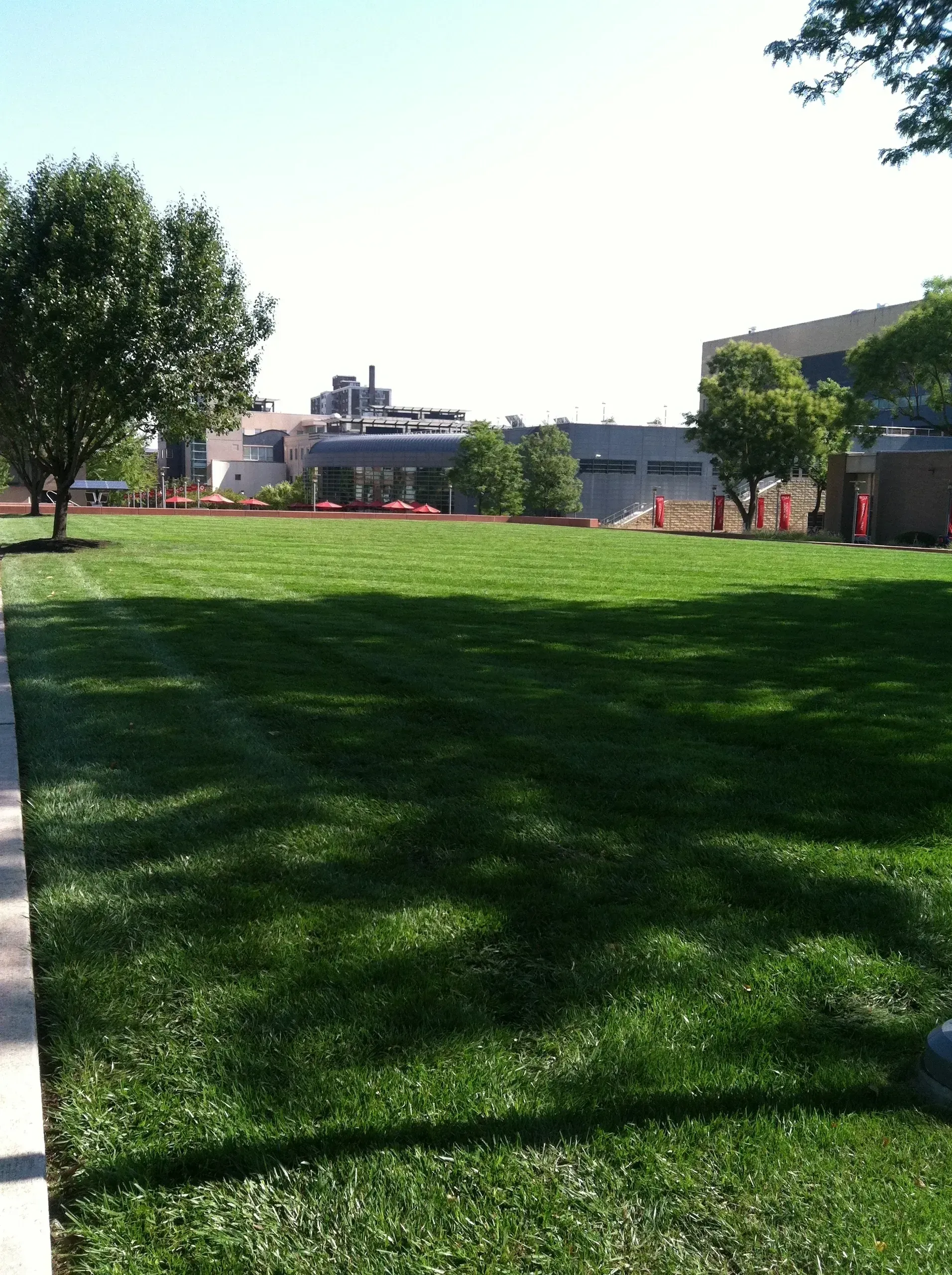 Green lawn with trees in front of modern buildings on a sunny day.