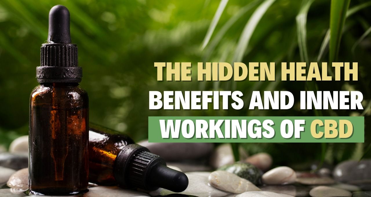 Discovering CBD: The All-Natural Health Boosting Ally at Your Local Dispensary Near O’Hare