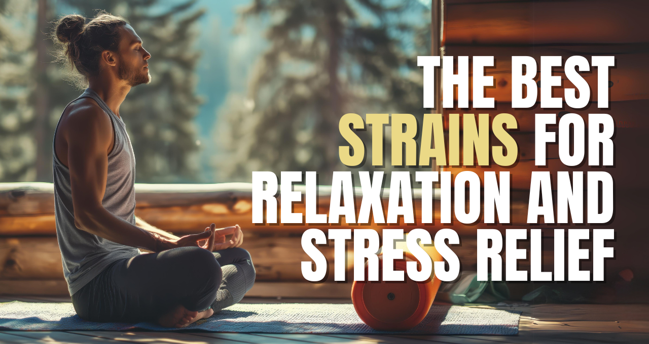 The Best Strains for Relaxation and Stress Relief