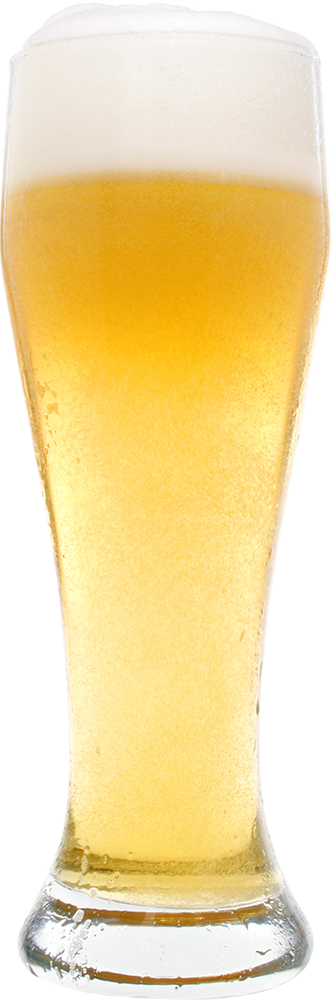 A glass of beer with foam on top on a white background.