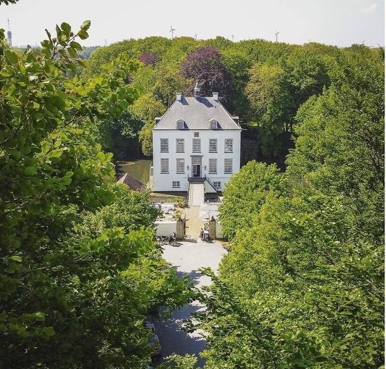 witte kasteel door de groene bomen gezien