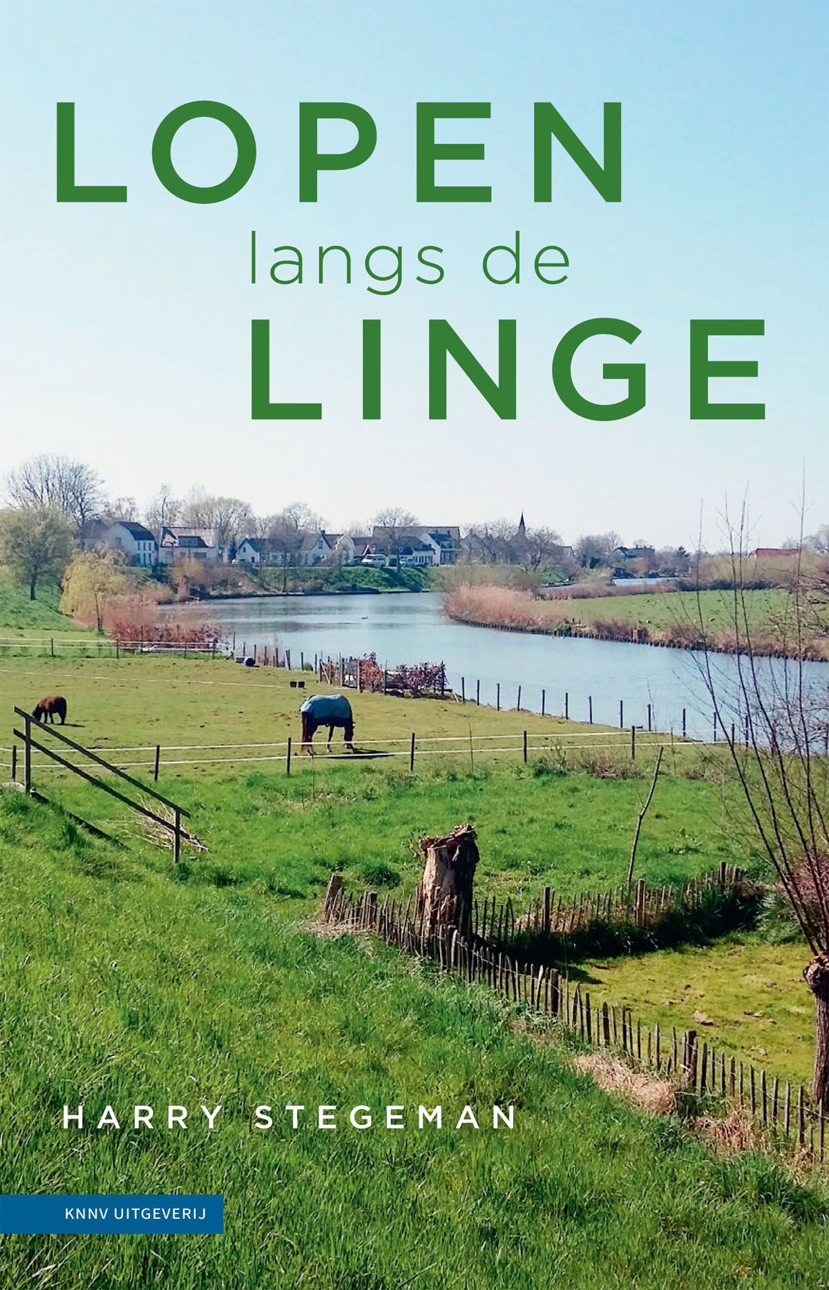 Boekcover: Groene letters