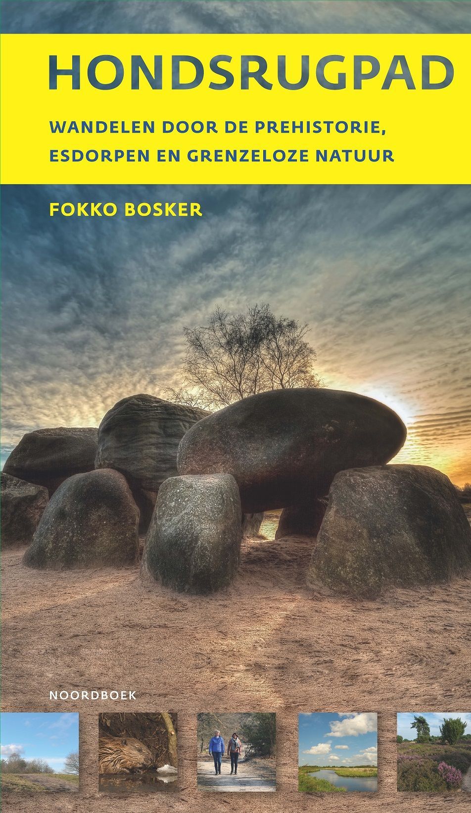 Boekcover: "Hondsrugpad" met een stenen bouwwerk op de voorgrond en een bewolkte hemel.