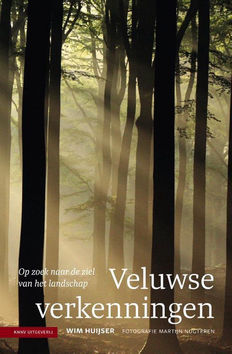 Forest scene with sunlight. Text: