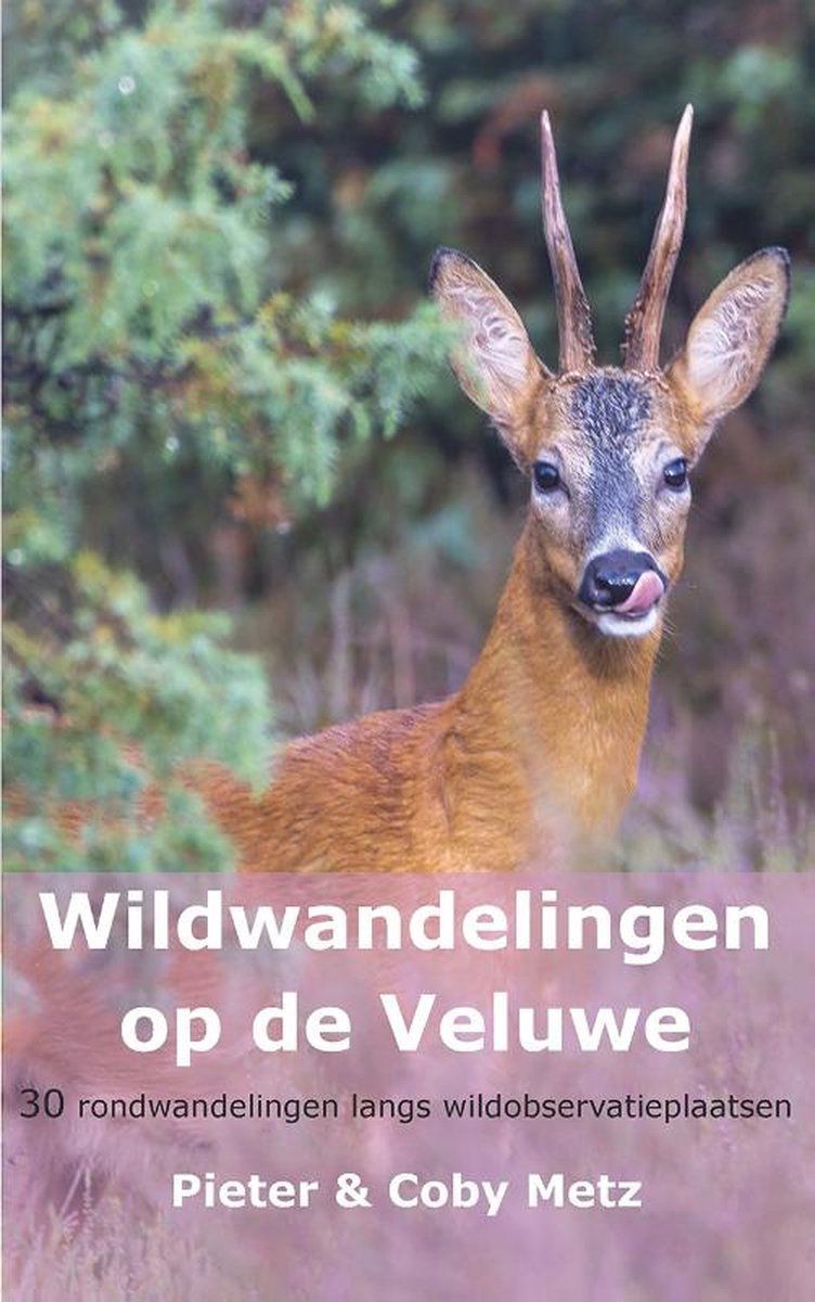 Roe deer licking its nose, book cover titled "Wildwandelingen op de Veluwe".