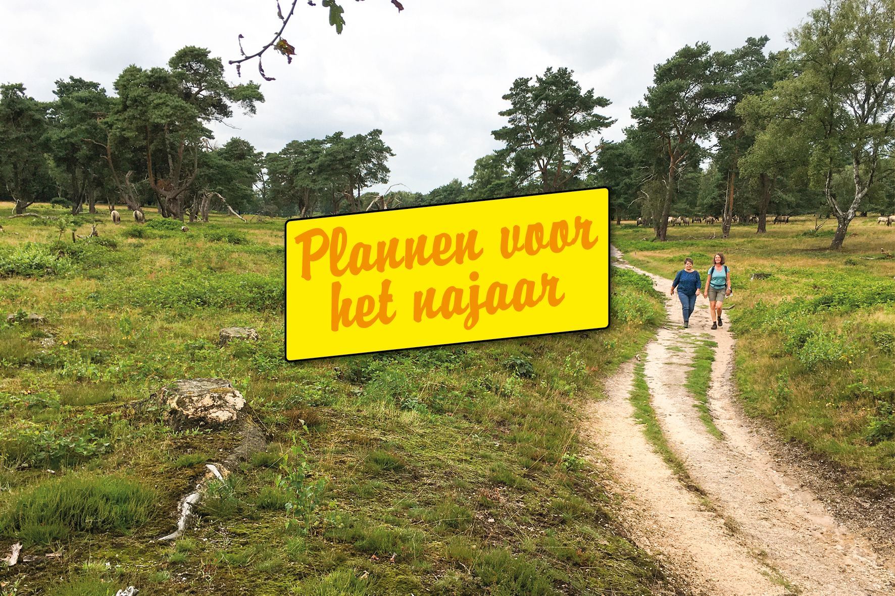 Uit onze nieuwsbrief