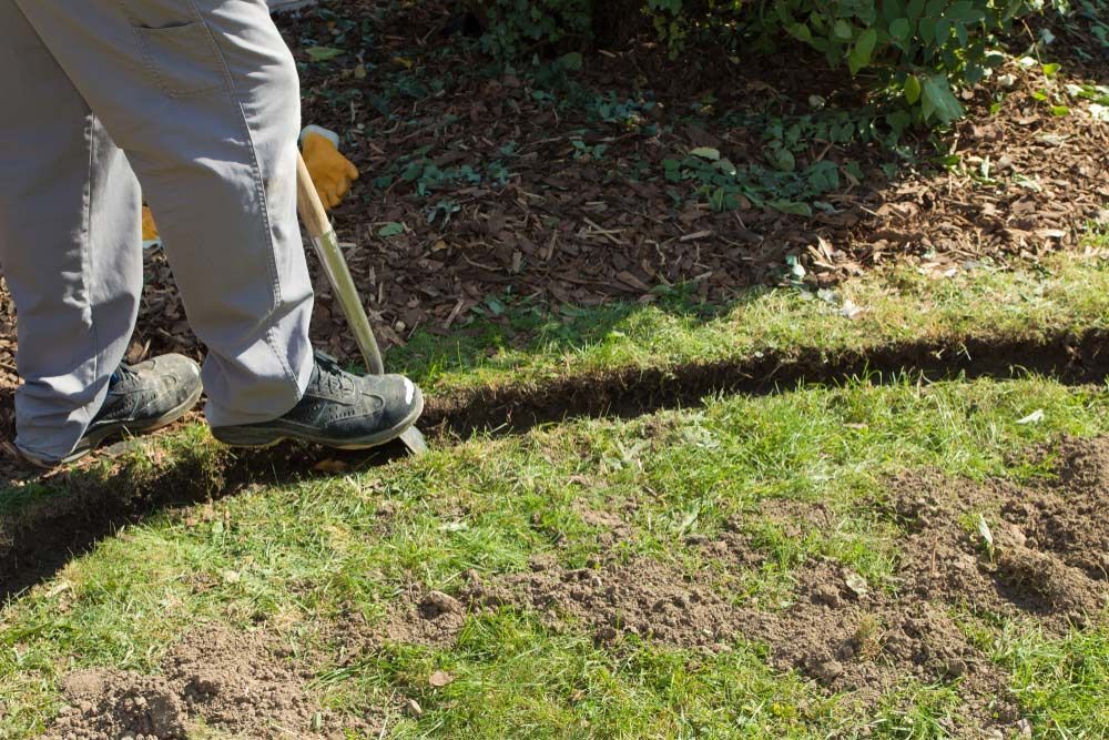A Person Is Digging A Hole In The Grass With A Shovel — Branch Manager Tree Services Coolum Beach In Coolum Beach, QLD