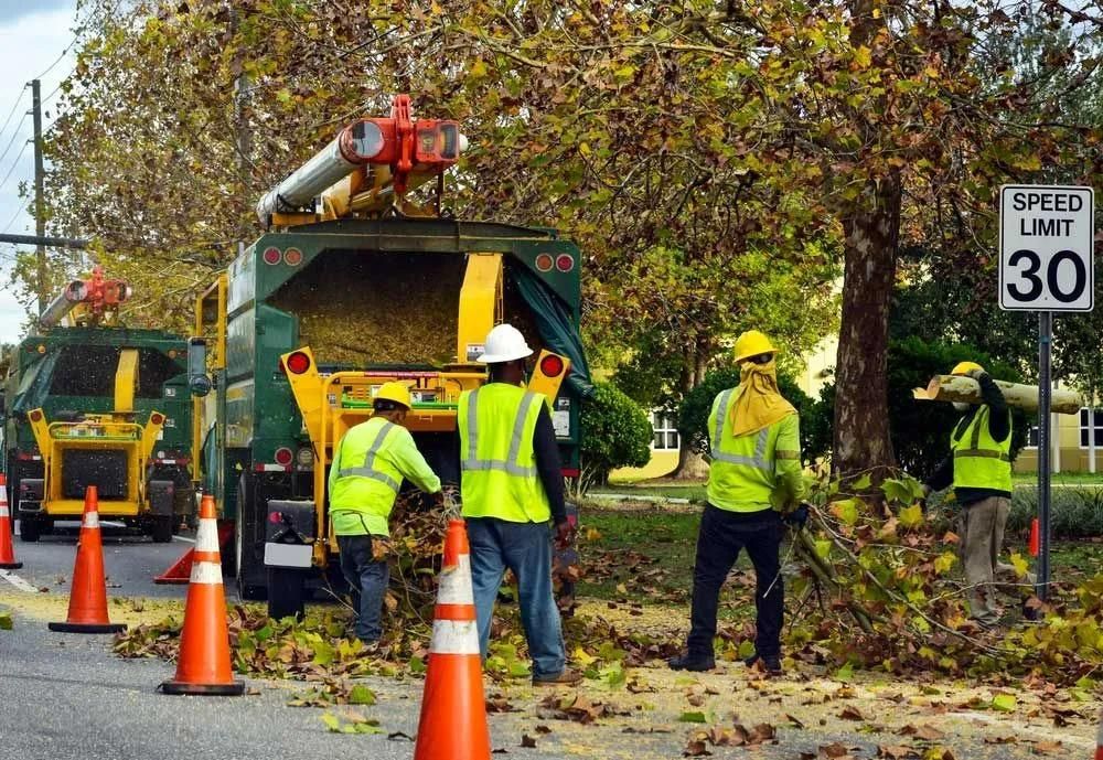 A Group Of Construction Workers Are Standing In Front Of A Speed Limit Sign — Branch Manager Tree Services Coolum Beach In Palmwoods, QLD