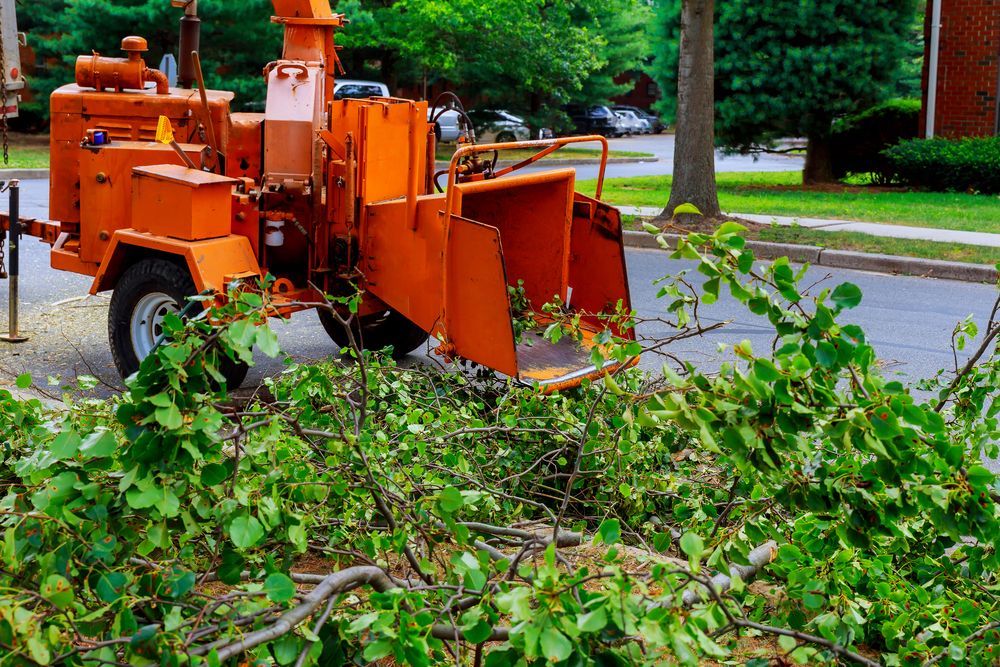 A Tree Chipper Is Cutting Down A Tree On The Side Of The Road — Branch Manager Tree Services Coolum Beach In Coolum Beach, QLD