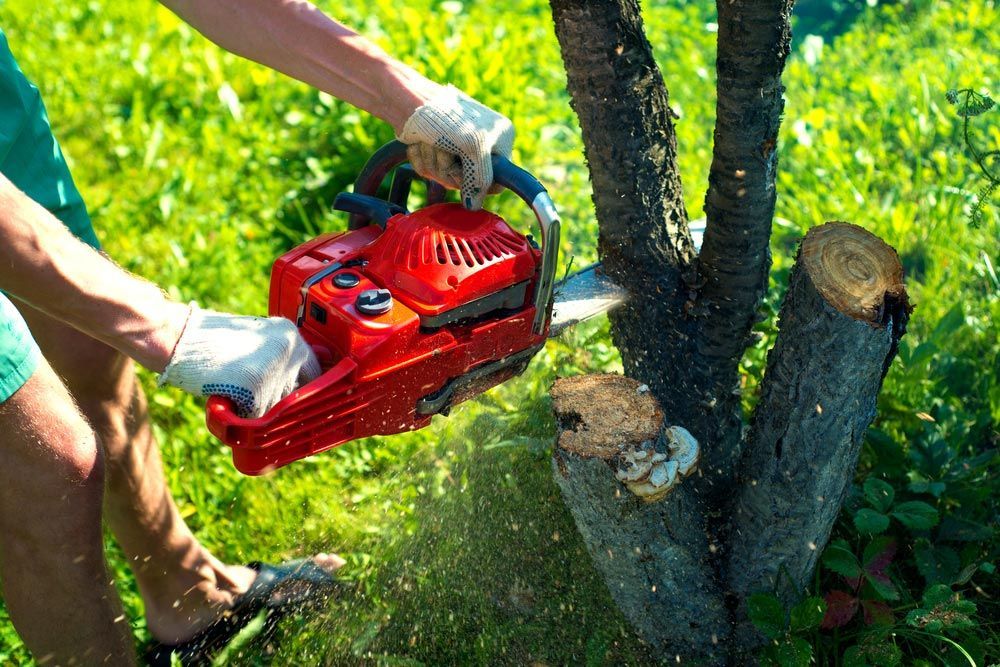 A Safe Tree Lopping