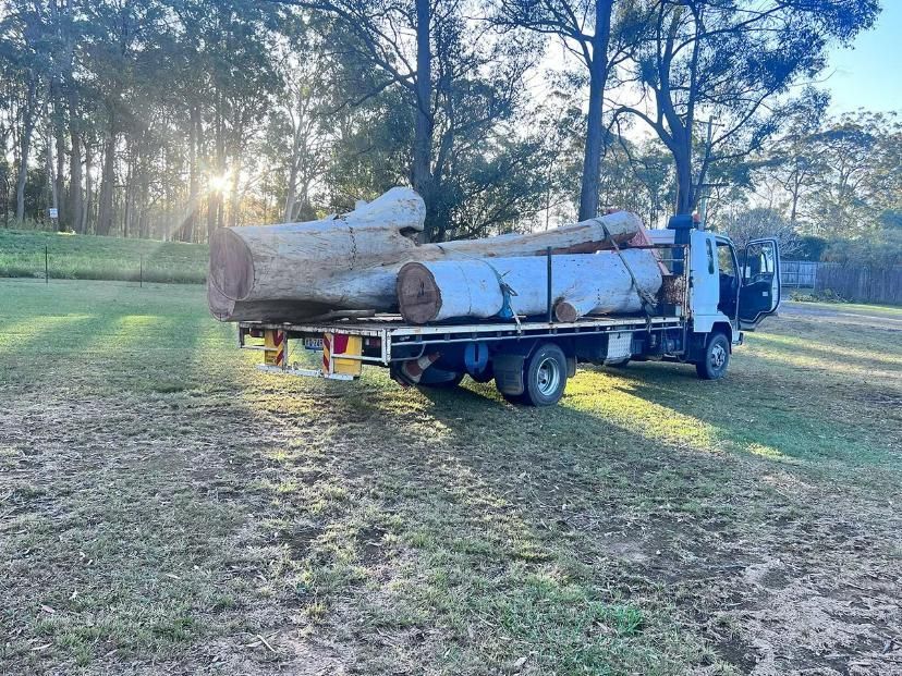 A Truck Is Carrying Logs In A Field — Branch Manager Tree Services Coolum Beach In Eumundi, QLD