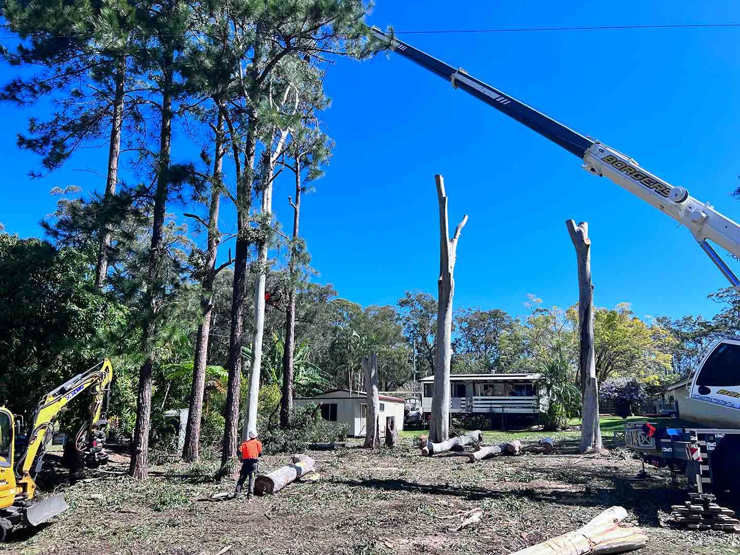 A Crane Is Lifting A Tree In A Yard In Front Of A House — Branch Manager Tree Services Coolum Beach In Coolum Beach, QLD