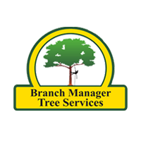 Arborist Sunshine Coast Arborist Sunshine Coast