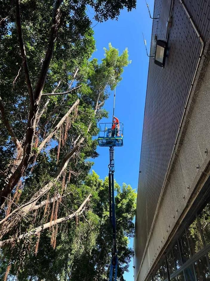 A Man Is Cutting A Tree On A Crane Next To A Building — Branch Manager Tree Services Coolum Beach In Narangba, QLD