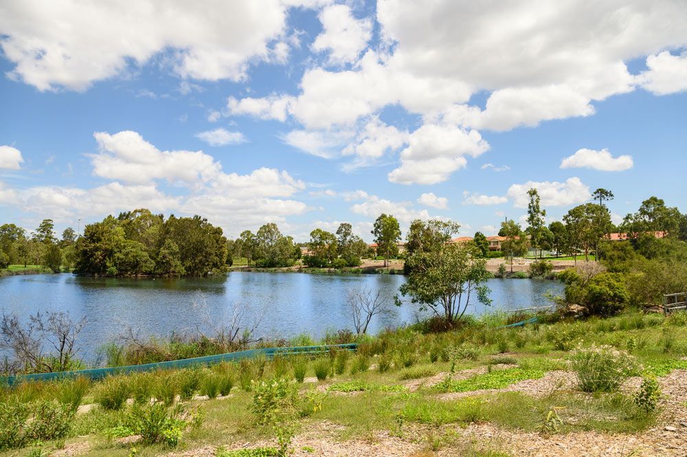 A Large Body Of Water Surrounded By Trees And Grass On A Sunny Day — Branch Manager Tree Services Coolum Beach In Glenview, QLD