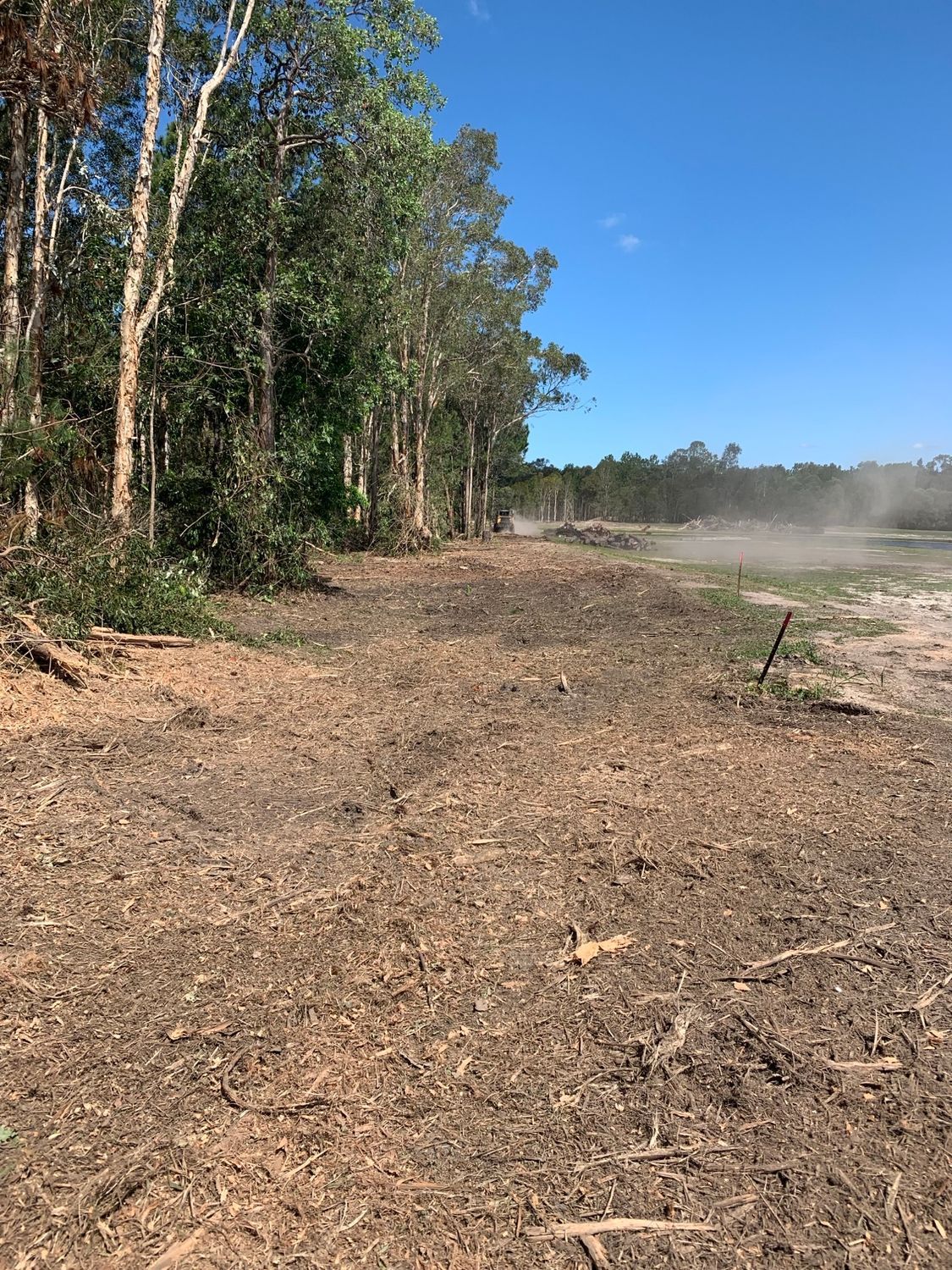 A Row Of White Trucks Are Parked In A Parking Lot — Branch Manager Tree Services Coolum Beach In Coolum Beach, QLD