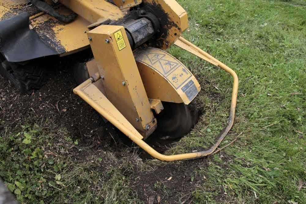 A Yellow Stump Grinder Is Cutting A Tree Stump In The Grass — Branch Manager Tree Services Coolum Beach In Coolum Beach, QLD